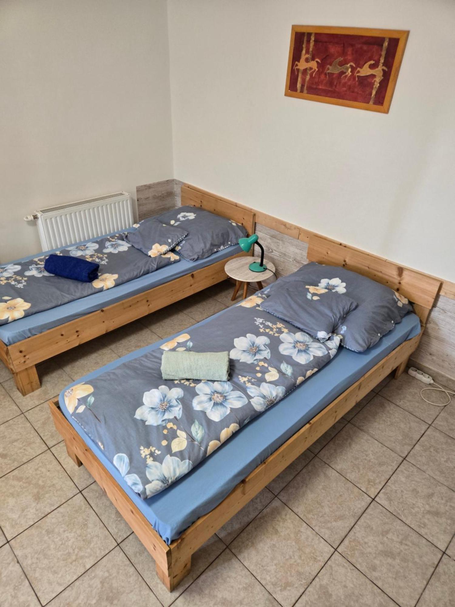 Orsi Apartman / Vendeghaz Kecskemet Ngoại thất bức ảnh