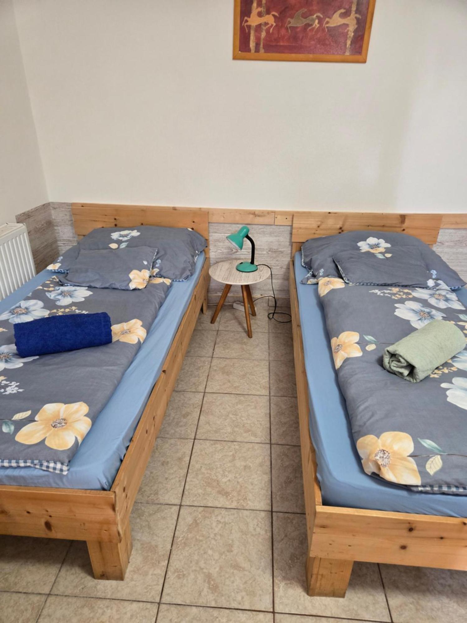 Orsi Apartman / Vendeghaz Kecskemet Ngoại thất bức ảnh